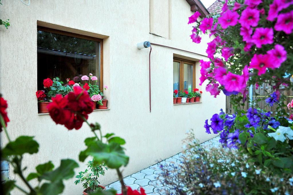 Casa Maria Hotel Gura Humorului Luaran gambar